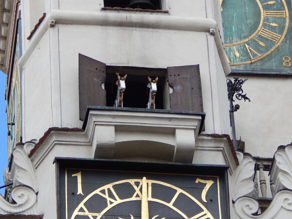 cabras ayuntamiento poznan
