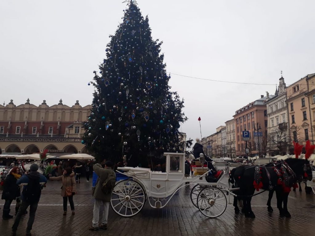 cracovia árbol de navidad